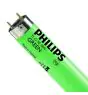 Philips MASTER TL-D 18W - Vert | 60cm